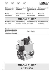 Dungs 223 950 Manual De Instrucciones