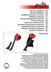 Grizzly BLSB 3030 Manual De Instrucciones