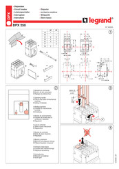 Legrand DPX 250 Manual De Instrucciones