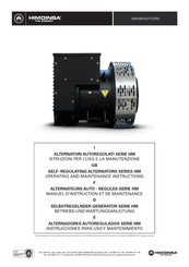 Himoinsa HM355 Serie Instrucciones Para Uso Y Mantenimiento