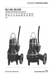 Grundfos SLV.65 Manual Del Usuario