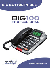 TTM BIG100 Professional Manual Del Usuario