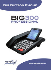 TTM BIG300 Professional Manual Del Usuario