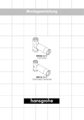 Hansgrohe DN15 15974180 Manual Del Usuario