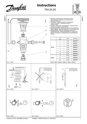 Danfoss TEA 20 Instrucciones