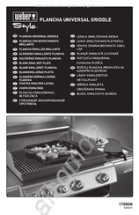 Weber Style Manual De Instrucciones