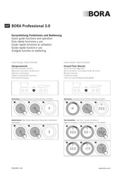 Bora Professional 3.0 Guia De Inicio Rapido