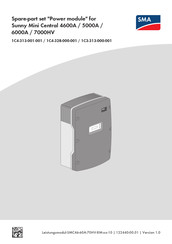 SMA 1C3-313-000-001 Instrucciones Para La Sustitución