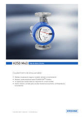 KROHNE H250 M40HT Manual De Instrucciones