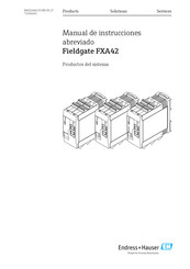 Endress+Hauser Fieldgate FXA42 Manual De Instrucciones Abreviado