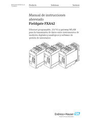 Endress+Hauser Fieldgate FXA42 Manual De Instrucciones Abreviado