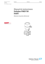 Endress+Hauser Deltabar PMD75B Manual De Instrucciones