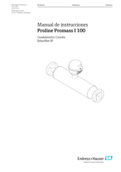 Endress+Hauser Proline Promass I 100 Manual De Instrucciones