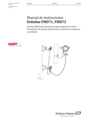 Endress+Hauser Deltabar FMD71 Manual De Instrucciones