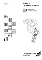 Endress+Hauser cerabar M Manual De Instrucciones