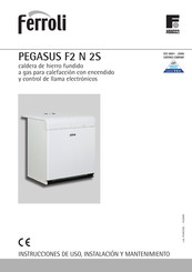 Ferroli Pegasus F2 N 85 2S Instrucciones De Uso