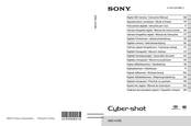 Sony Sony DSC-H100 Manual De Instrucciones