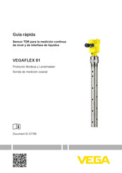 Vega VEGAFLEX 81 Guía Rápida