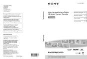 Sony Handycam NEX-VG30 Manual De Instrucciones