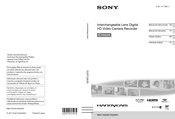 Sony Handycam NEX-VG20E Manual De Instrucciones