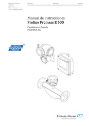 Endress+Hauser Proline Promass E 500 Manual De Instrucciones