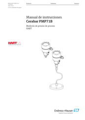 Endress+Hauser Cerabar PMP71B Manual De Instrucciones