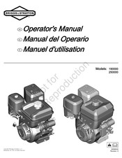 Briggs & Stratton 250000 Manual Del Operario