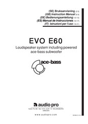 Audio Pro EVO E60 Manual De Instrucciones