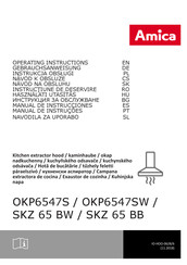 Amica OKP6547SW Manual De Instrucciones