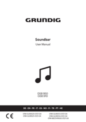 Grundig DSB 950 Manual De Usuario