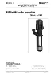 BRINKMANN PUMPS SGL1102/410 Manual De Instrucciones