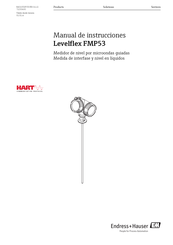 Endress+Hauser Levelflex FMP53 Manual De Instrucciones