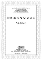 Gessi INGRANAGGIO 63609 Manual De Instrucciones