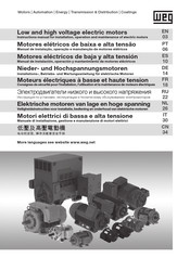 WEG W22 Magnet Drive System Manual De Instalación, Operación Y Mantenimiento