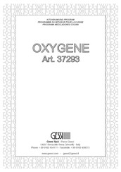 Gessi OXYGENE 37293 Manual De Instrucciones