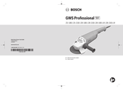 Bosch GWS Professional 28-180 LVI Manual Origina