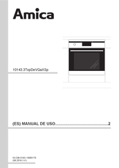 Amica 10143.3TxpDeVQaXSp Manual De Uso