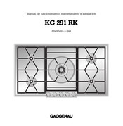 Gaggenau KG 291 RK Manual De Funcionamiento Mantenimiento E Instalación