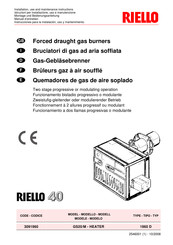 Riello GS20/M Instrucciones Para La Instalación, Uso Y Mantenimiento