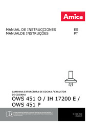 Amica OWS 451 O Manual De Instrucciones