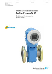 Endress+Hauser Proline Promag W 10 Manual De Instrucciones