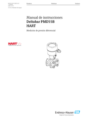 Endress+Hauser Deltabar PMD55B Manual De Instrucciones