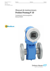 Endress+Hauser Proline Promag P 10 Manual De Instrucciones