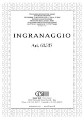 Gessi INGRANAGGIO 63537 Manual De Instrucciones