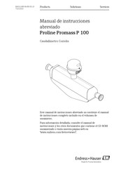 Endress+Hauser Proline Promag P 100 Manual De Instrucciones Abreviado