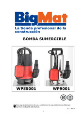 BigMat WP9001 Instrucciones De Uso