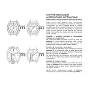 Chaumet SELF-WINDING MECHANICAL MOVEMENT WATCH Manual De Instrucciones