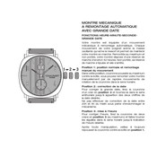 Chaumet SELF-WINDING MECHANICAL WATCH WITH LARGE DATE Manual De Instrucciones