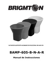 Brigmton BAMP-605-B-N-A-R Manual De Instrucciones