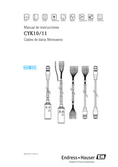 Endress+Hauser CYK11 Manual De Instrucciones